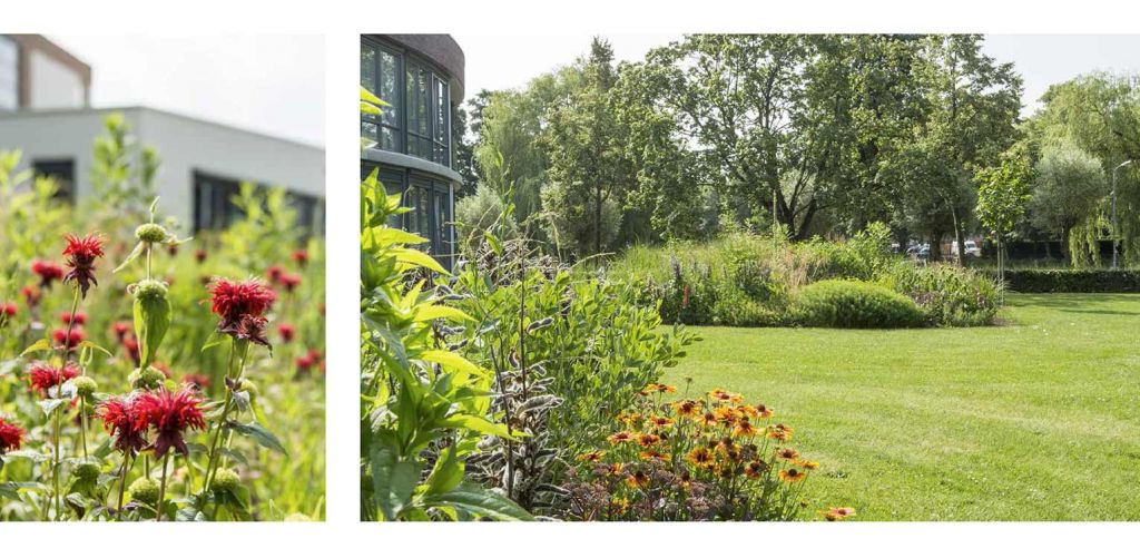 Prairietuin Hengelo Denkers in Tuinen