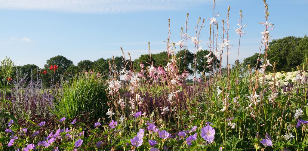 landelijke tuin Achterhoek Denkers in Tuinen