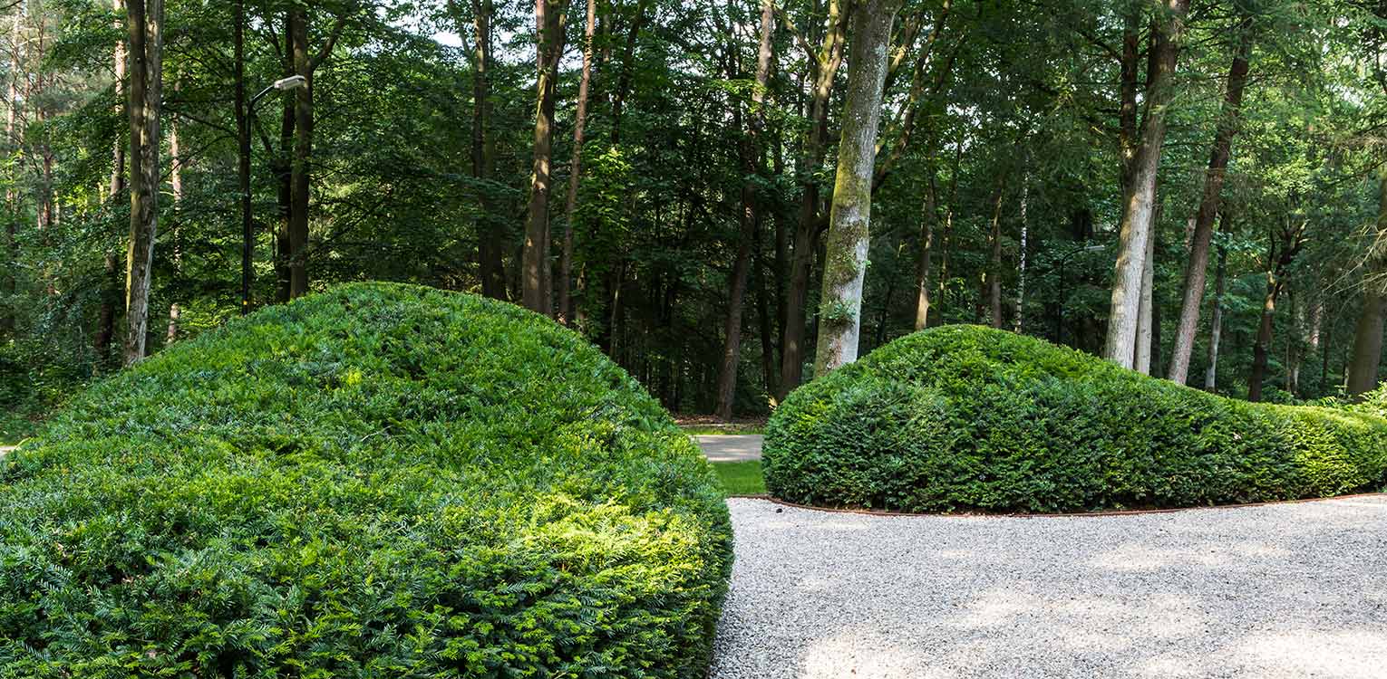 Klassieke bostuin Apeldoorn