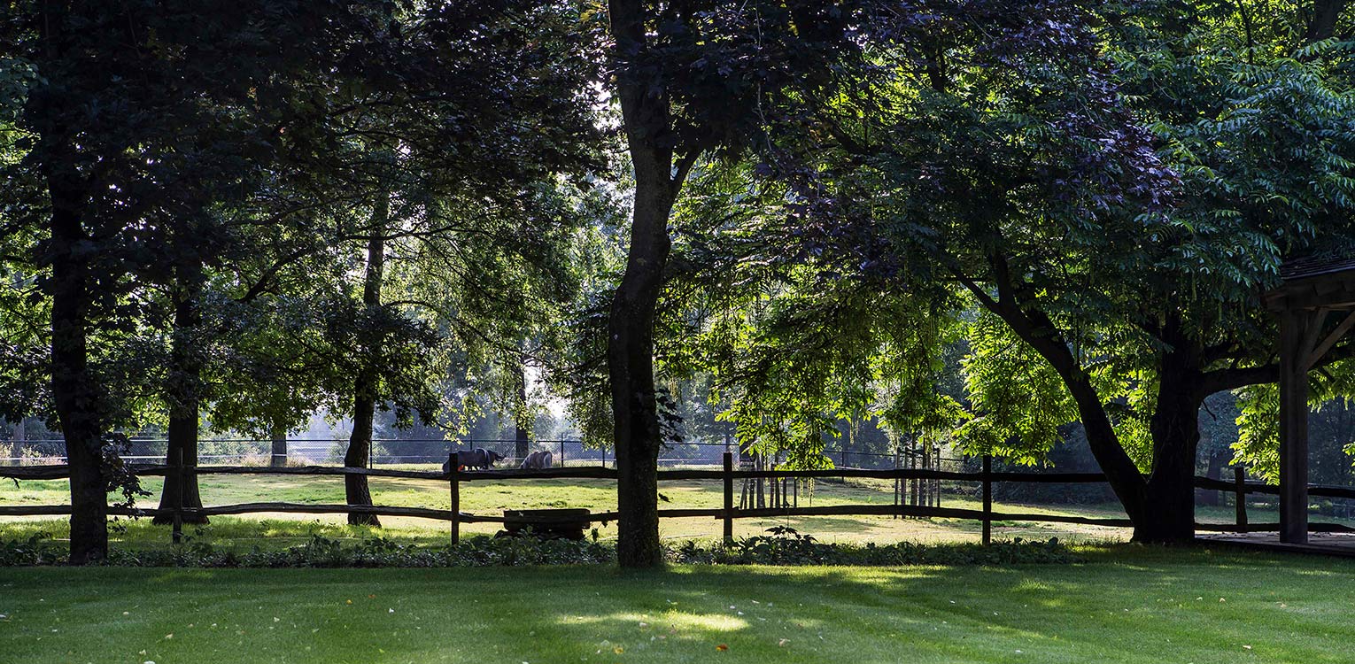 Landschappelijke boerderijtuin Eibergen